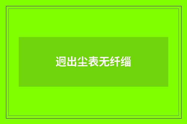 迥出尘表无纤缁