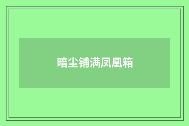 暗尘铺满凤凰箱