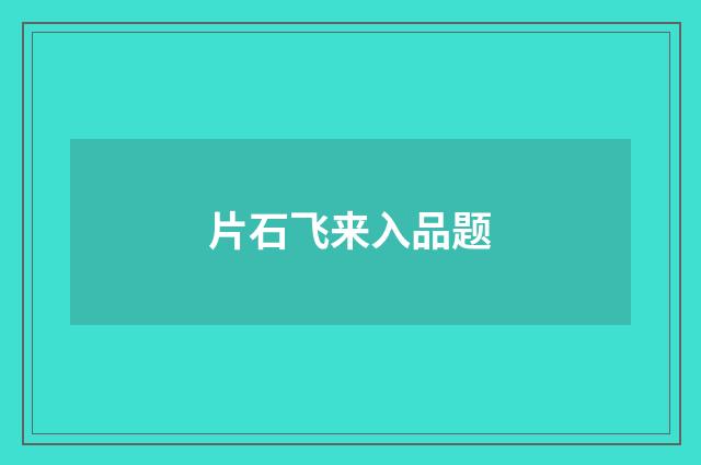 片石飞来入品题