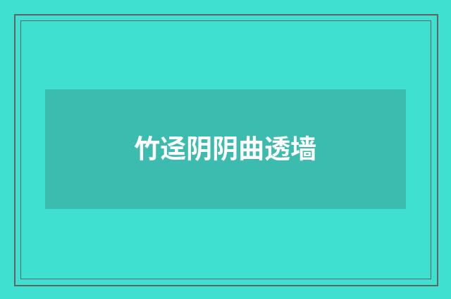 竹迳阴阴曲透墙