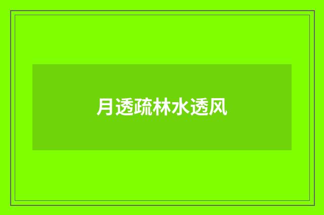 月透疏林水透风