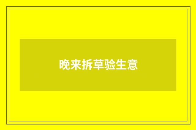 晚来拆草验生意