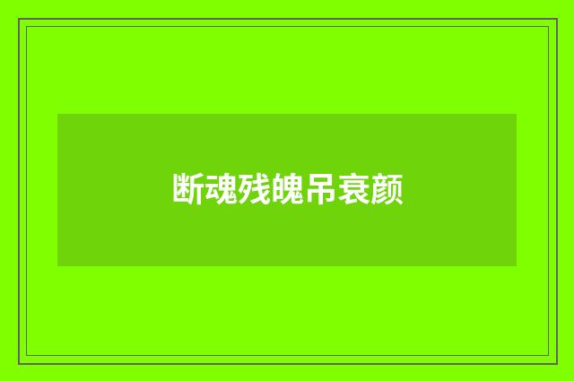 断魂残魄吊衰颜