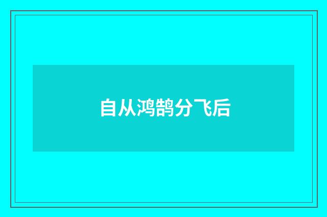 自从鸿鹄分飞后
