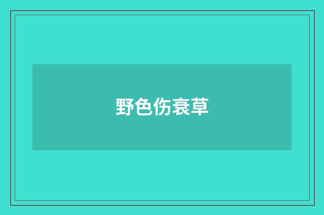 野色伤衰草