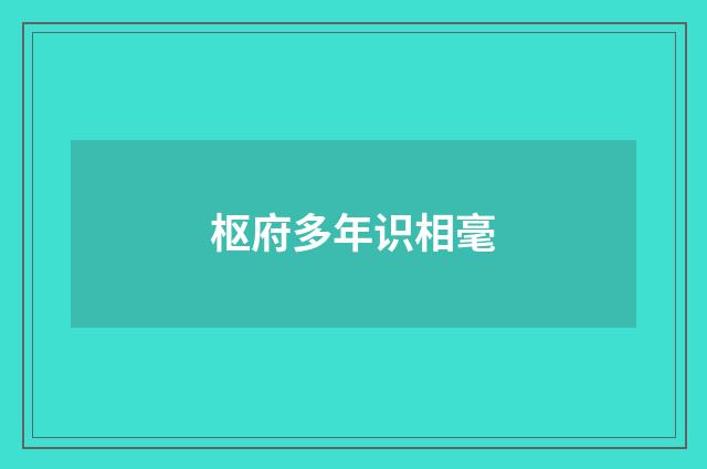 枢府多年识相毫