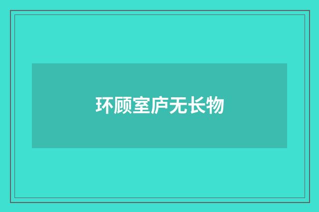 环顾室庐无长物