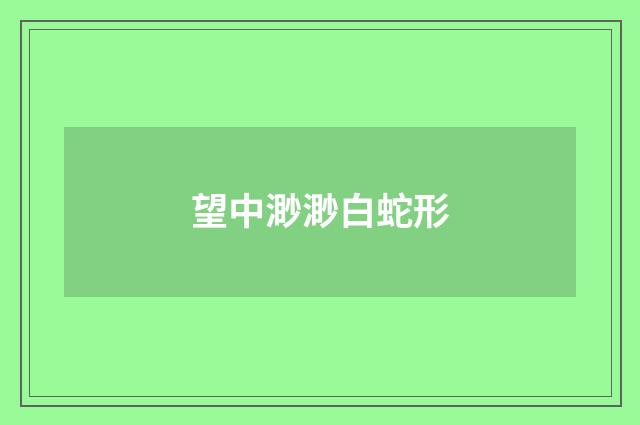 望中渺渺白蛇形