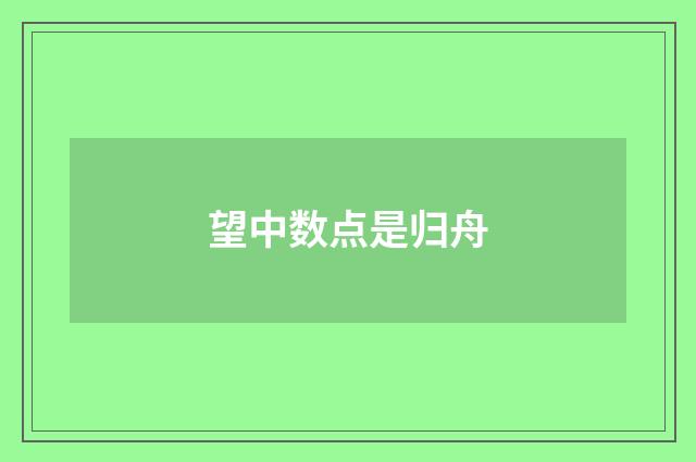 望中数点是归舟