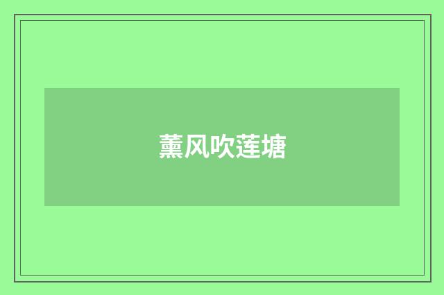 薰风吹莲塘