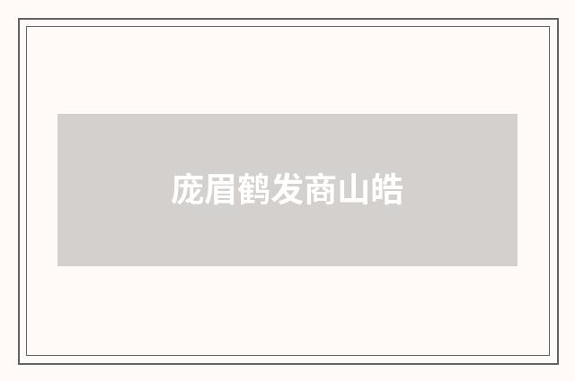 庞眉鹤发商山皓