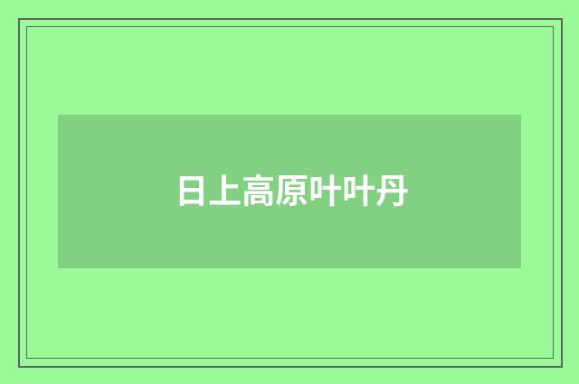 日上高原叶叶丹