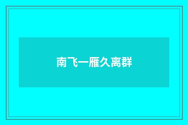 南飞一雁久离群
