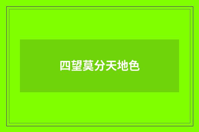 四望莫分天地色
