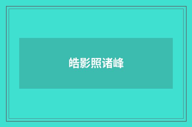 皓影照诸峰