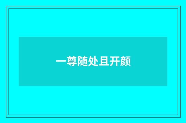 一尊随处且开颜