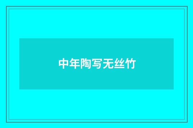 中年陶写无丝竹