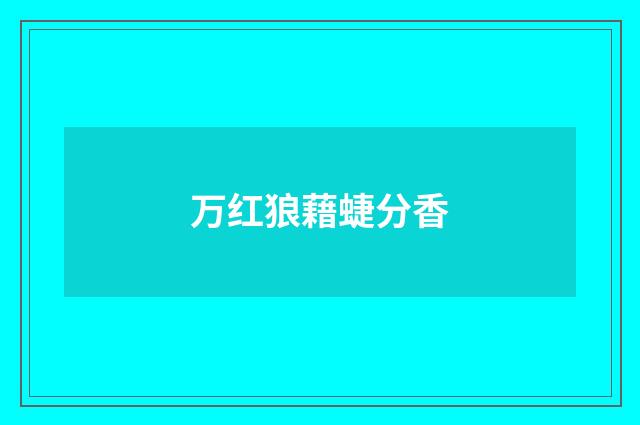 万红狼藉蜨分香