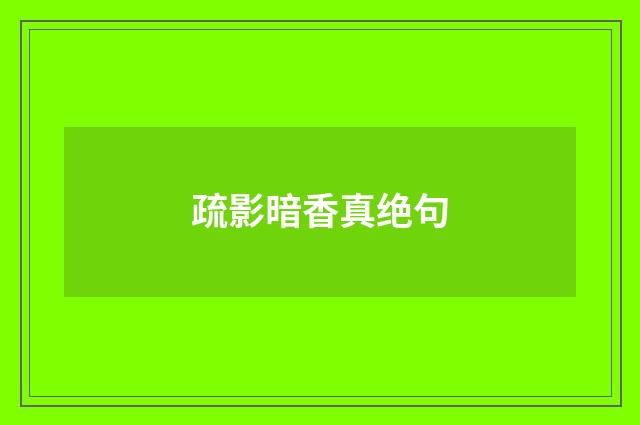 疏影暗香真绝句