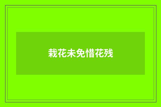 栽花未免惜花残