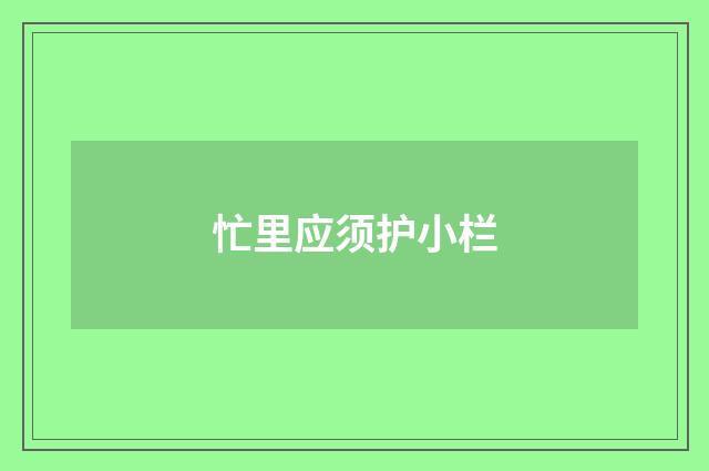 忙里应须护小栏