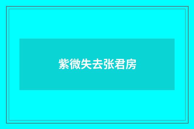 紫微失去张君房