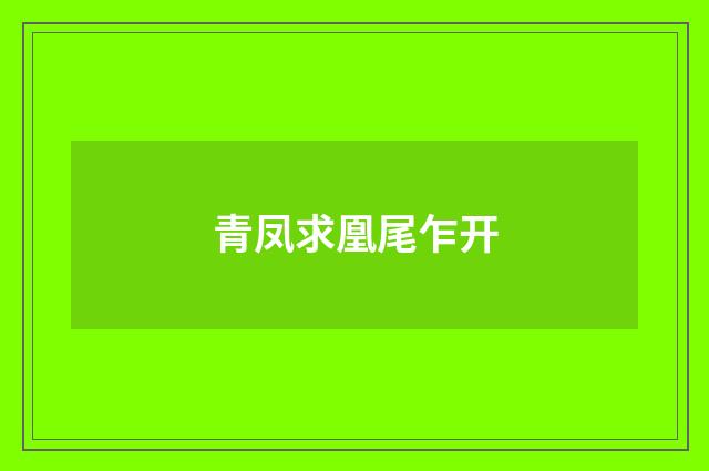 青凤求凰尾乍开