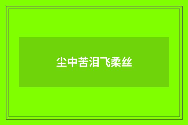 尘中苦泪飞柔丝