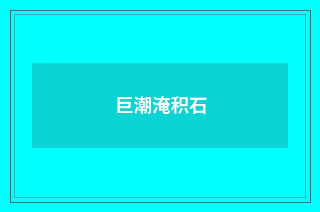 巨潮淹积石