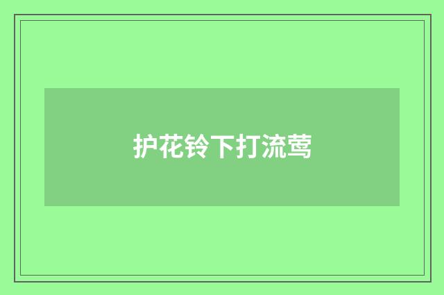 护花铃下打流莺