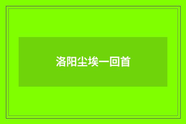 洛阳尘埃一回首