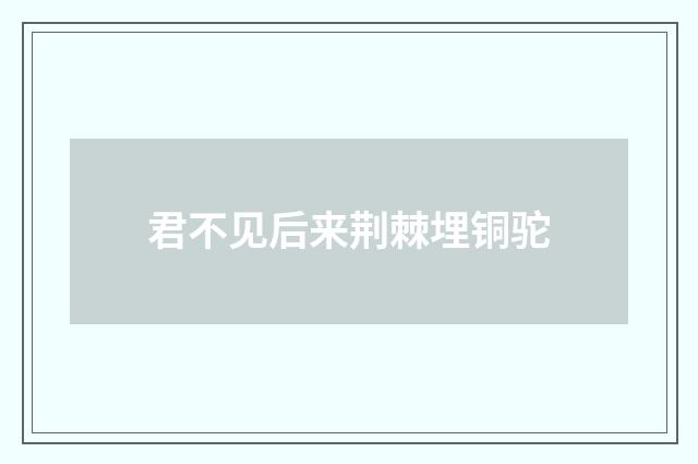 君不见后来荆棘埋铜驼