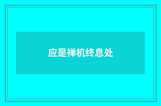 应是禅机终息处