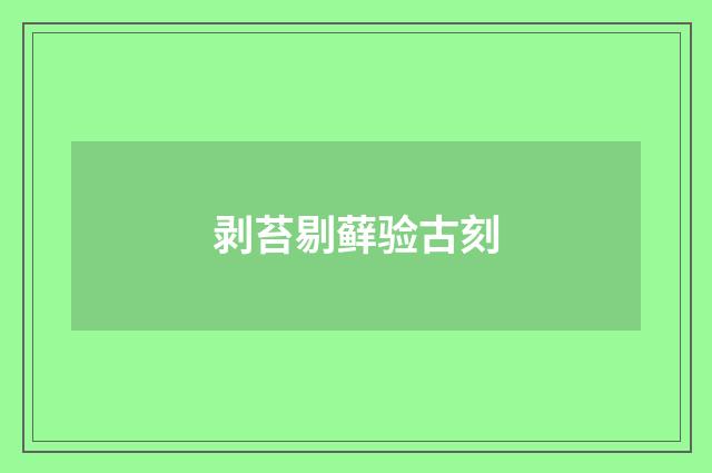 剥苔剔藓验古刻