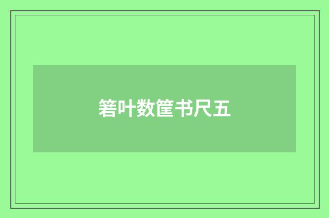 箬叶数筐书尺五