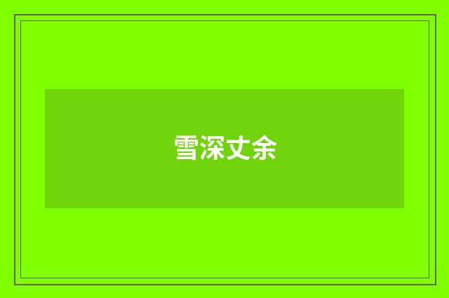 雪深丈余