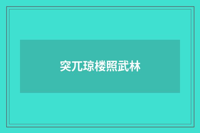 突兀琼楼照武林