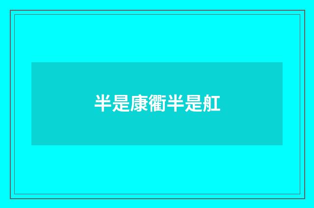 半是康衢半是舡
