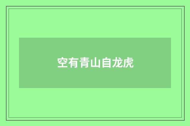 空有青山自龙虎
