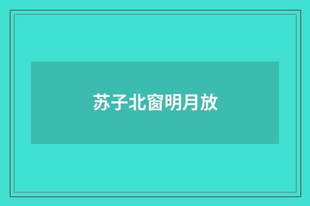 苏子北窗明月放