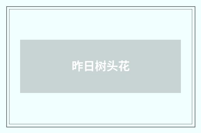 昨日树头花