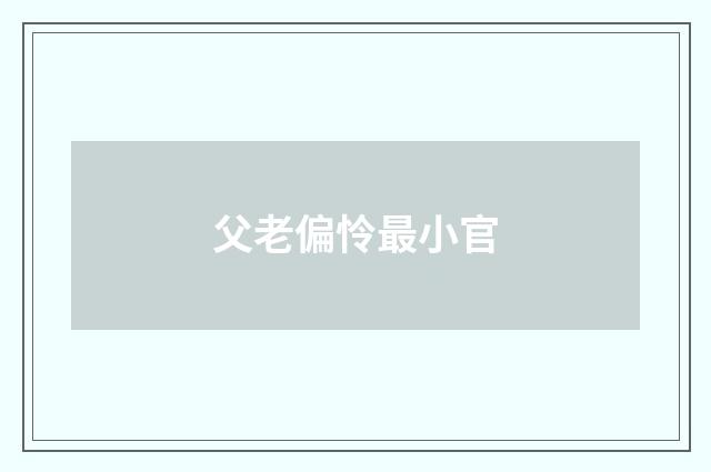 父老偏怜最小官