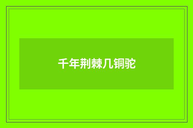 千年荆棘几铜驼