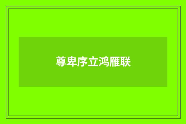 尊卑序立鸿雁联