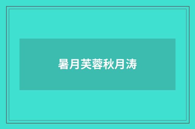 暑月芙蓉秋月涛