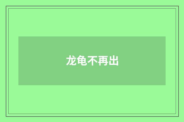 龙龟不再出