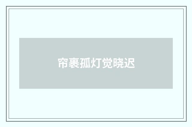 帘裹孤灯觉晓迟