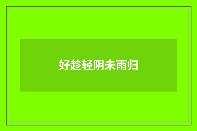 好趁轻阴未雨归
