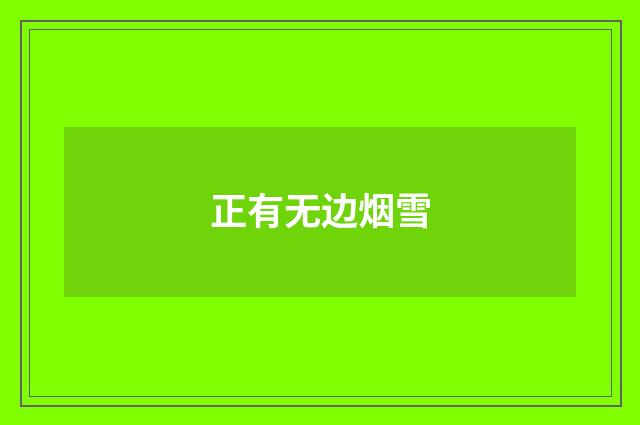正有无边烟雪