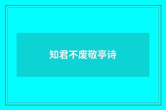 知君不废敬亭诗